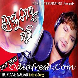 Hrudaya Delu Jali - Sad Song